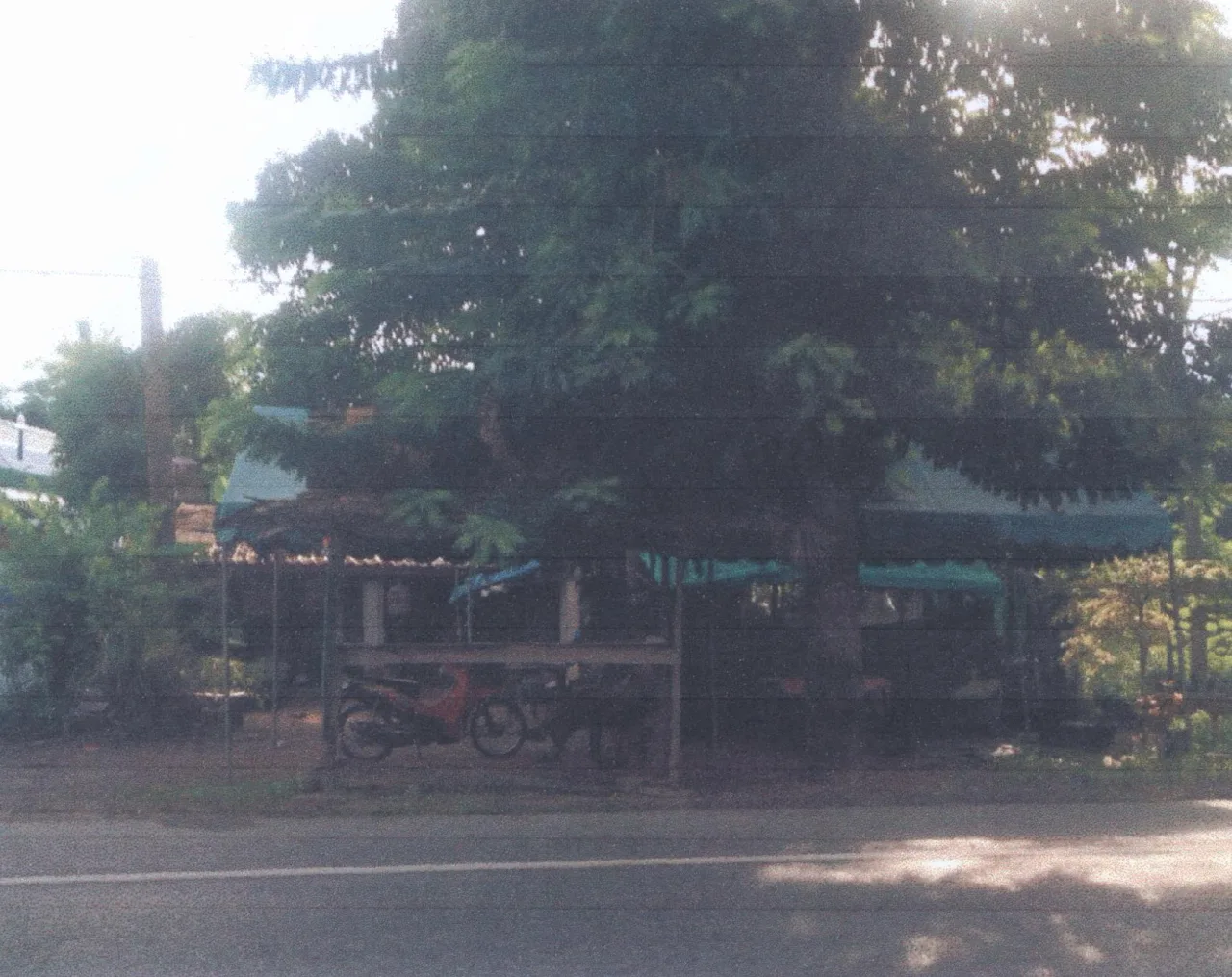 ขายทอดตลาด ที่ดินพร้อมสิ่งปลูกสร้าง ต.ยะหา อ.ยะหา จ.ยะลา