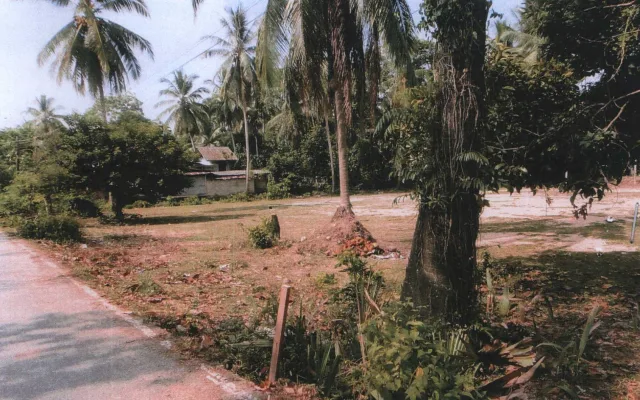 ขายทอดตลาด ที่ดินว่างเปล่า ต.ตะโล๊ะหะลอ อ.รามัน จ.ยะลา