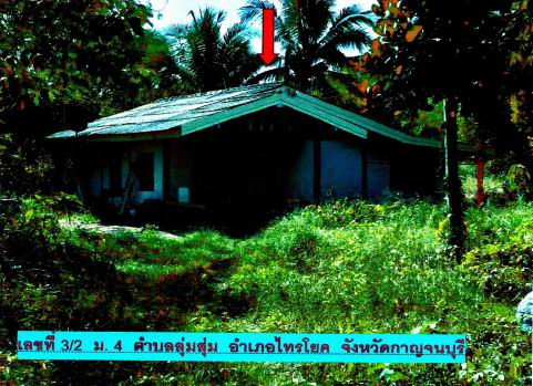 ขายทอดตลาด ที่ดินพร้อมสิ่งปลูกสร้าง ต.ลุ่มสุ่ม อ.ไทรโยค จ.กาญจนบุรี