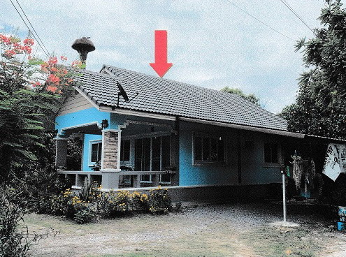 ขายทอดตลาด ที่ดินพร้อมสิ่งปลูกสร้าง ต.บ้านธิ อ.บ้านธิ จ.ลำพูน