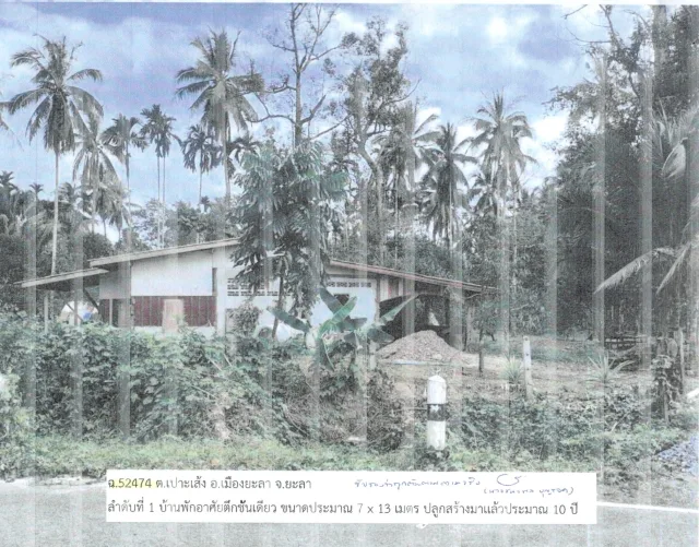 ขายทอดตลาด ที่ดินพร้อมสิ่งปลูกสร้าง ต.เปาะเส้ง อ.เมืองยะลา จ.ยะลา