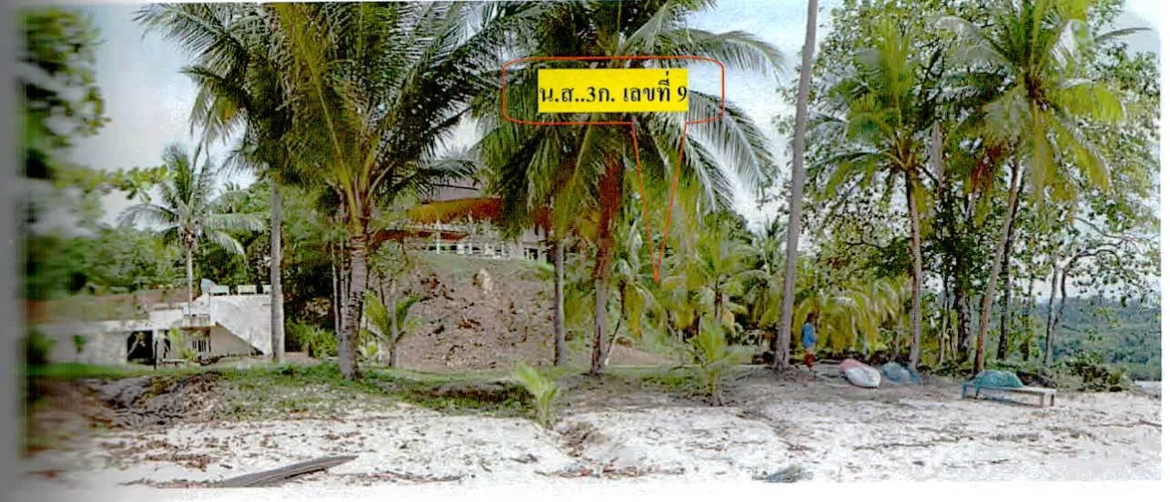 ขายทอดตลาด ที่ดินพร้อมสิ่งปลูกสร้าง ต.เกาะช้างใต้ อ.แหลมงอบ จ.ตราด