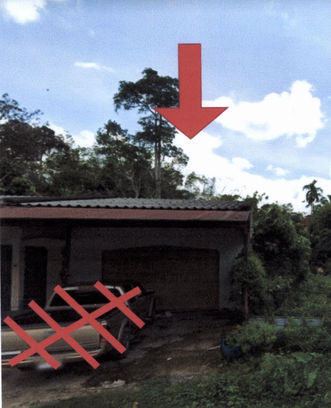 ขายทอดตลาด ที่ดินพร้อมสิ่งปลูกสร้าง ต.กายูบอเกาะ อ.รามัน จ.ยะลา
