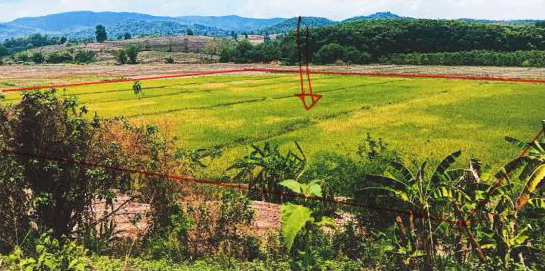 ขายทอดตลาด ที่ดินว่างเปล่า จ.เชียงราย