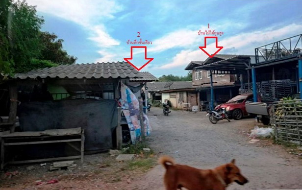 ขายทอดตลาด ที่ดินพร้อมสิ่งปลูกสร้าง ต.โพหัก อ.บางแพ จ.ราชบุรี