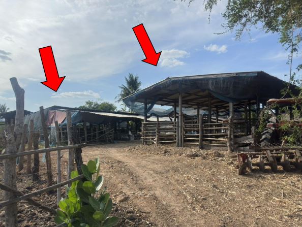ขายทอดตลาด ที่ดินพร้อมสิ่งปลูกสร้าง ต.ทุ่งกุลา อ.สุวรรณภูมิ จ.ร้อยเอ็ด