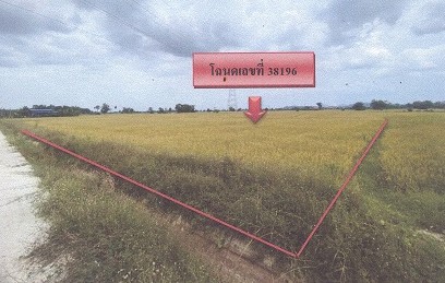 ขายทอดตลาด ที่ดินว่างเปล่า จ.ราชบุรี