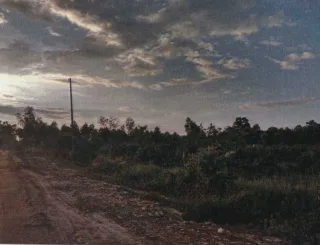 รูปทรัพย์ 2
