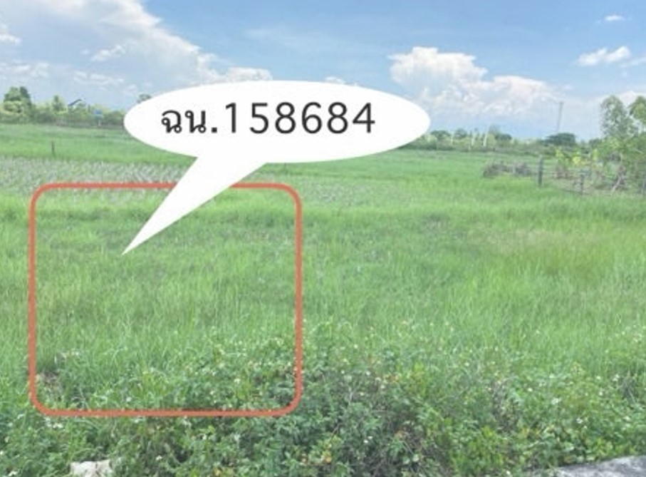 ขายทอดตลาด ที่ดินว่างเปล่า จ.ลำพูน