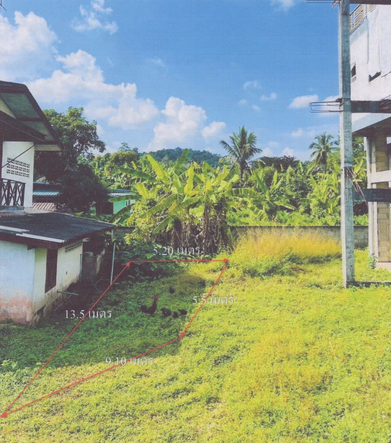 ขายทอดตลาด ที่ดินว่างเปล่า ต.สันติสุข อ.พาน จ.เชียงราย