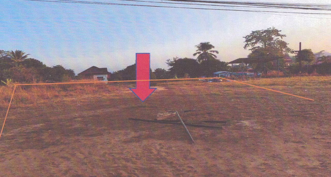 ขายทอดตลาด ที่ดินว่างเปล่า ต.ท่าข้าวเปลือก อ.แม่จัน จ.เชียงราย
