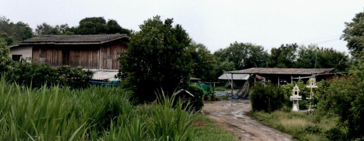 ขายทอดตลาด ที่ดินพร้อมสิ่งปลูกสร้าง ต.กรับใหญ่ อ.บ้านโป่ง จ.ราชบุรี