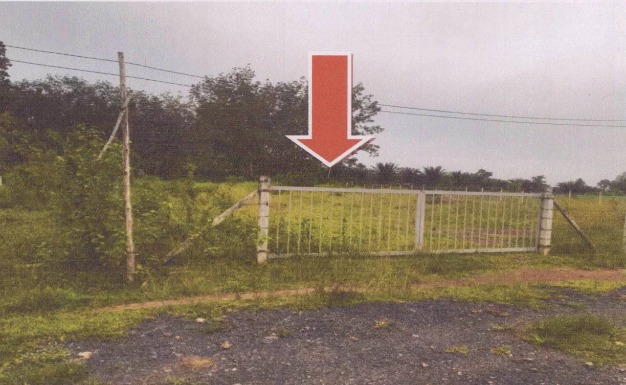 ขายทอดตลาด ที่ดินว่างเปล่า ต.นาท่ามเหนือ อ.เมืองตรัง จ.ตรัง