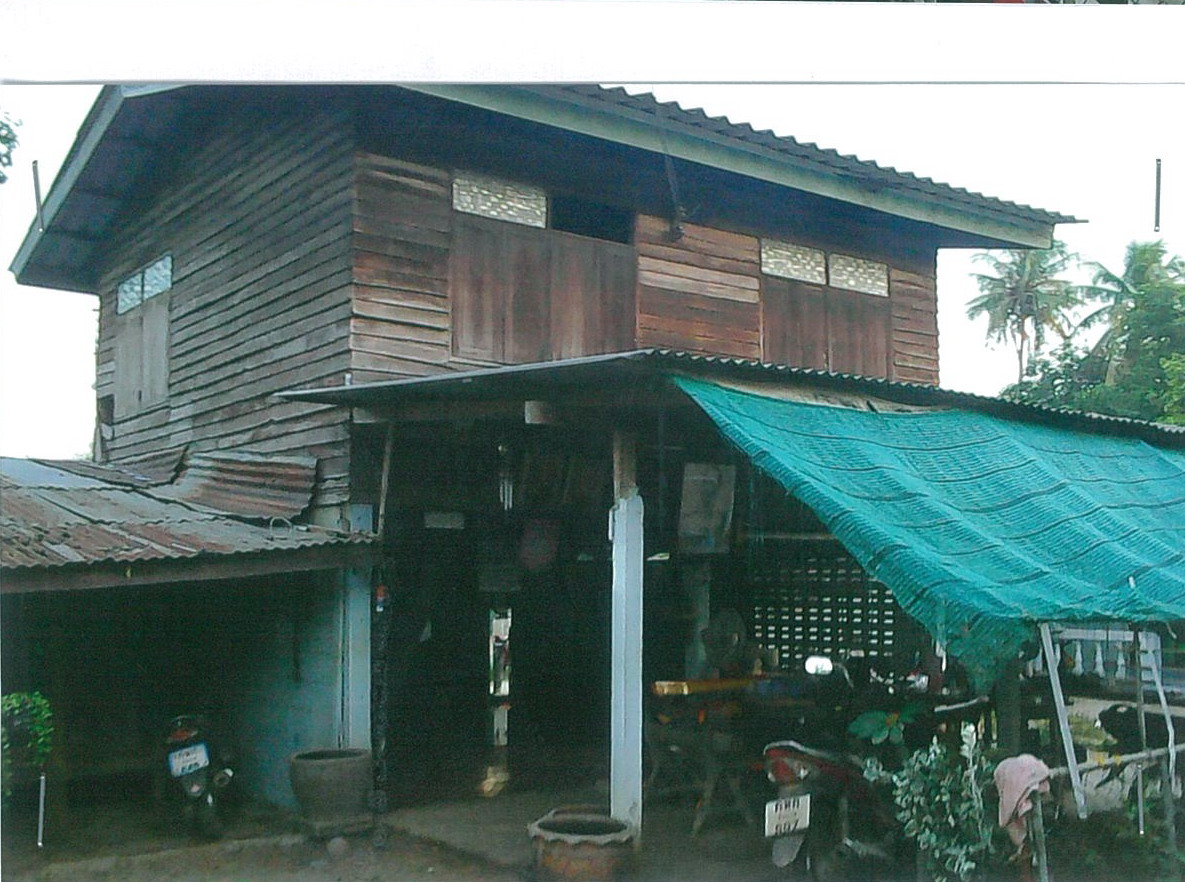 ขายทอดตลาด ที่ดินพร้อมสิ่งปลูกสร้าง ต.นางลือ อ.เมืองชัยนาท จ.ชัยนาท