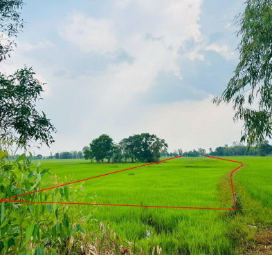 ขายทอดตลาด ที่ดินว่างเปล่า จ.ร้อยเอ็ด