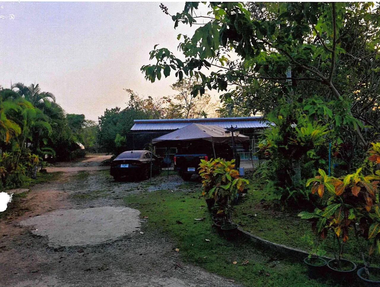 ขายทอดตลาด ที่ดินพร้อมสิ่งปลูกสร้าง ต.หนองปลาไหล อ.บางละมุง จ.ชลบุรี