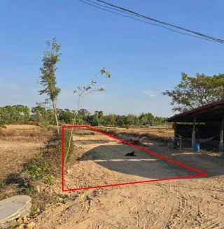 รูปทรัพย์ 2