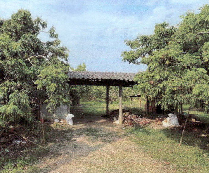 ขายทอดตลาด ที่ดินพร้อมสิ่งปลูกสร้าง ต.ศรีเตี้ย อ.บ้านโฮ่ง จ.ลำพูน