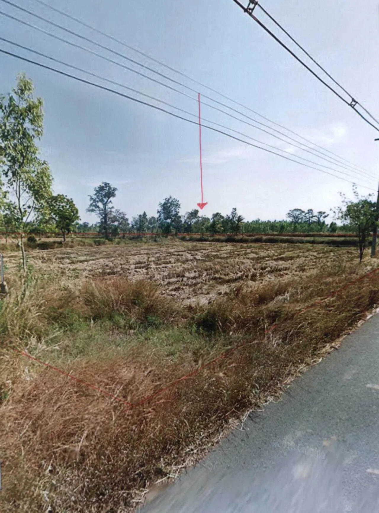ขายทอดตลาด ที่ดินว่างเปล่า จ.ร้อยเอ็ด