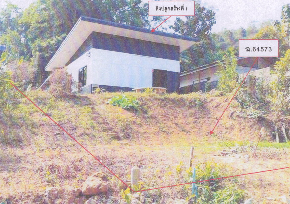 ขายทอดตลาด ที่ดินพร้อมสิ่งปลูกสร้าง ต.ท่าข้าวเปลือก อ.แม่จัน จ.เชียงราย
