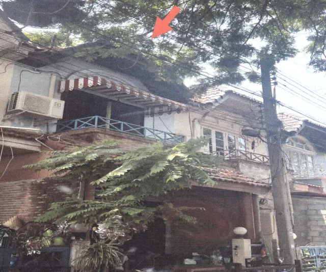 ขายทอดตลาด ที่ดินพร้อมสิ่งปลูกสร้าง ต.ห้วยใหญ่ อ.บางละมุง จ.ชลบุรี