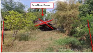 รูปทรัพย์ 2