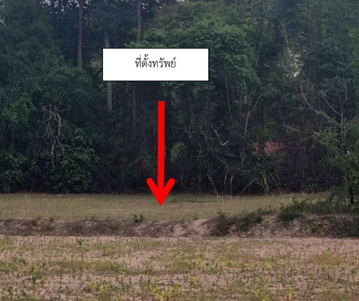 ขายทอดตลาด ที่ดินว่างเปล่า จ.ร้อยเอ็ด