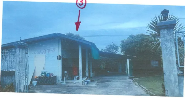 ขายทอดตลาด ที่ดินพร้อมสิ่งปลูกสร้าง ต.เหมืองง่า อ.เมืองลำพูน จ.ลำพูน