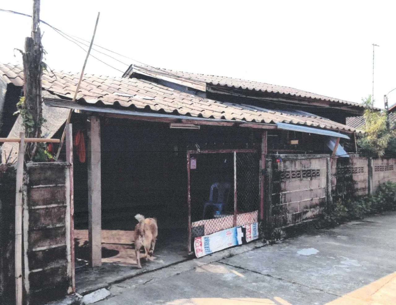 ขายทอดตลาด ที่ดินพร้อมสิ่งปลูกสร้าง ต.ป่าแดด อ.แม่สรวย จ.เชียงราย