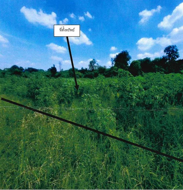 ขายทอดตลาด ที่ดินว่างเปล่า ต.บึง อ.ศรีราชา จ.ชลบุรี