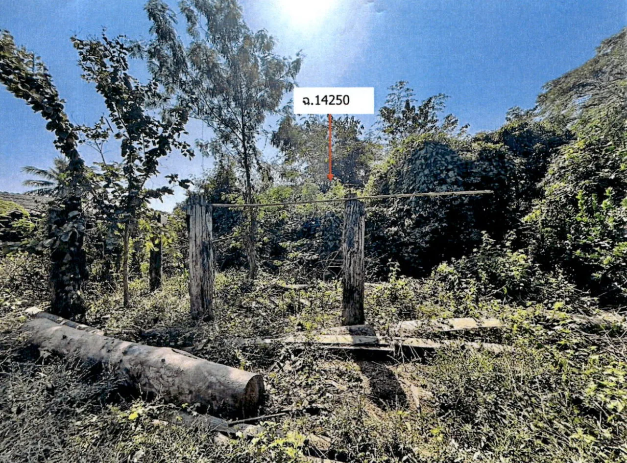 ขายทอดตลาด ที่ดินว่างเปล่า จ.ลำปาง