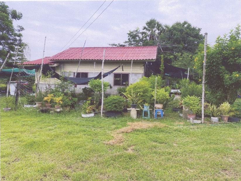 ขายทอดตลาด ที่ดินพร้อมสิ่งปลูกสร้าง ต.อู่ตะเภา อ.มโนรมย์ จ.ชัยนาท