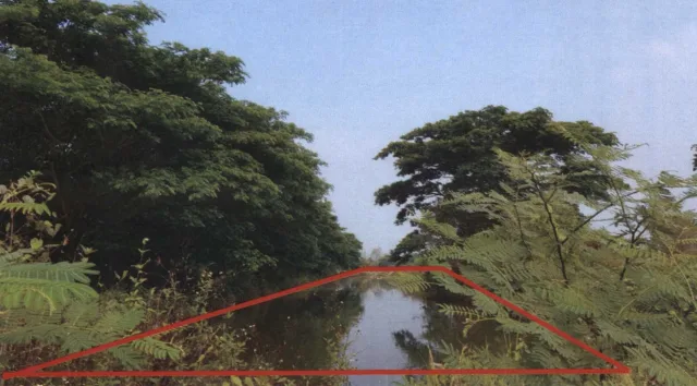 ขายทอดตลาด ที่ดินว่างเปล่า ต.เวียงยอง อ.เมืองลำพูน จ.ลำพูน