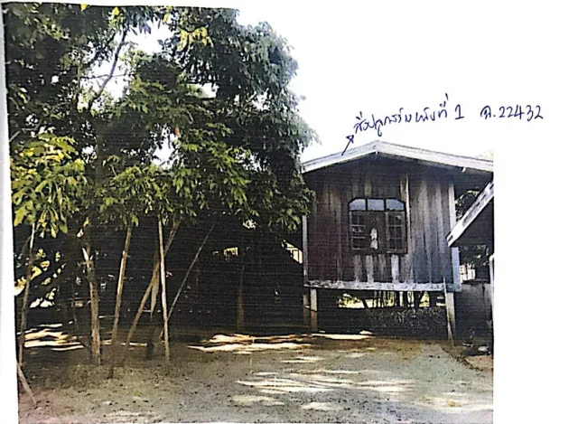 ขายทอดตลาด ที่ดินพร้อมสิ่งปลูกสร้าง ต.ป่าไผ่ อ.ลี้ จ.ลำพูน