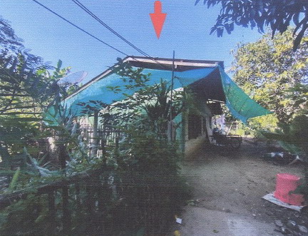 ขายทอดตลาด ที่ดินพร้อมสิ่งปลูกสร้าง ต.ศรีเตี้ย อ.บ้านโฮ่ง จ.ลำพูน