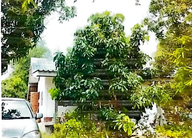 ขายทอดตลาด ที่ดินพร้อมสิ่งปลูกสร้าง ต.นครเจดีย์ อ.ป่าซาง จ.ลำพูน