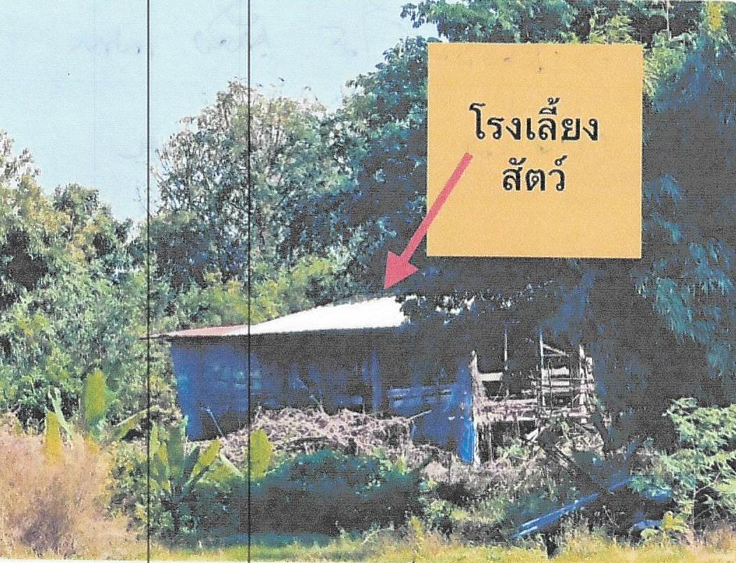 ขายทอดตลาด ที่ดินพร้อมสิ่งปลูกสร้าง ต.ไร่พัฒนา อ.มโนรมย์ จ.ชัยนาท
