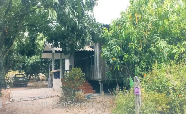 ขายทอดตลาด ที่ดินพร้อมสิ่งปลูกสร้าง ต.ศรีวิชัย อ.ลี้ จ.ลำพูน