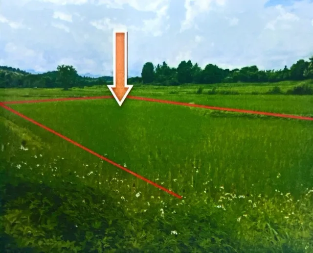 ขายทอดตลาด ที่ดินว่างเปล่า ต.นาทราย อ.ลี้ จ.ลำพูน