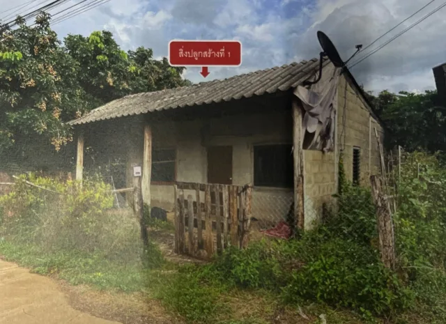 ขายทอดตลาด ที่ดินพร้อมสิ่งปลูกสร้าง ต.ป่าไผ่ อ.ลี้ จ.ลำพูน
