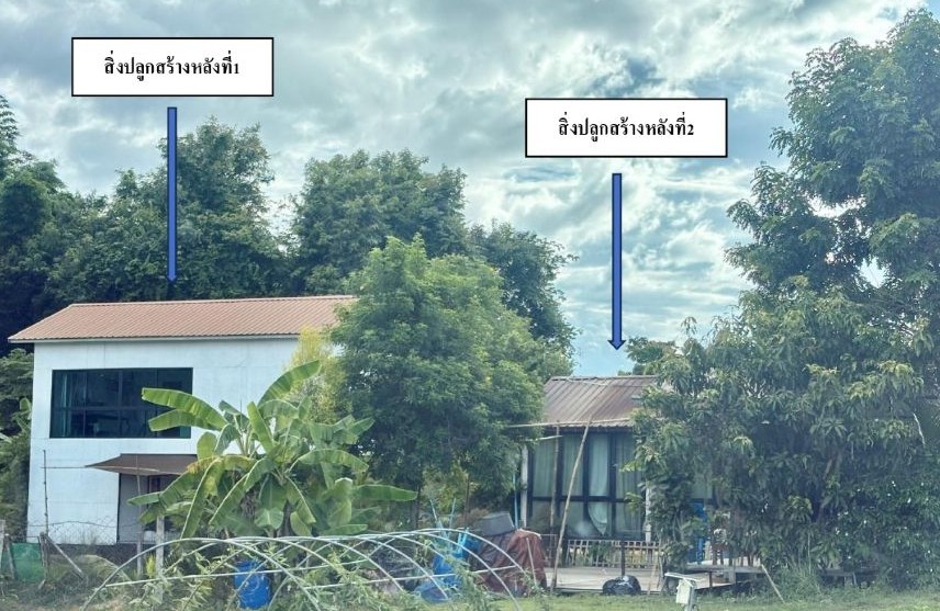 ขายทอดตลาด ที่ดินพร้อมสิ่งปลูกสร้าง ต.ลี้ อ.ลี้ จ.ลำพูน