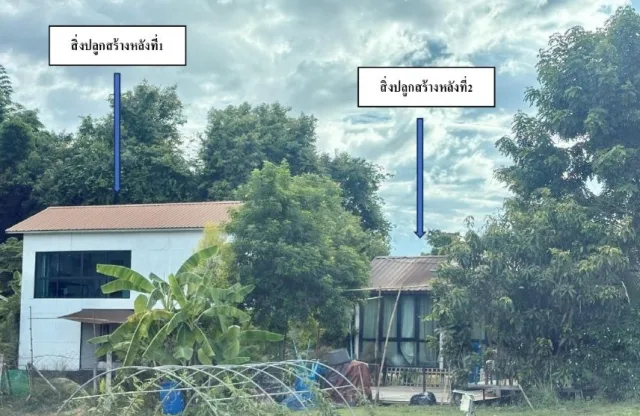 ขายทอดตลาด ที่ดินพร้อมสิ่งปลูกสร้าง ต.ลี้ อ.ลี้ จ.ลำพูน