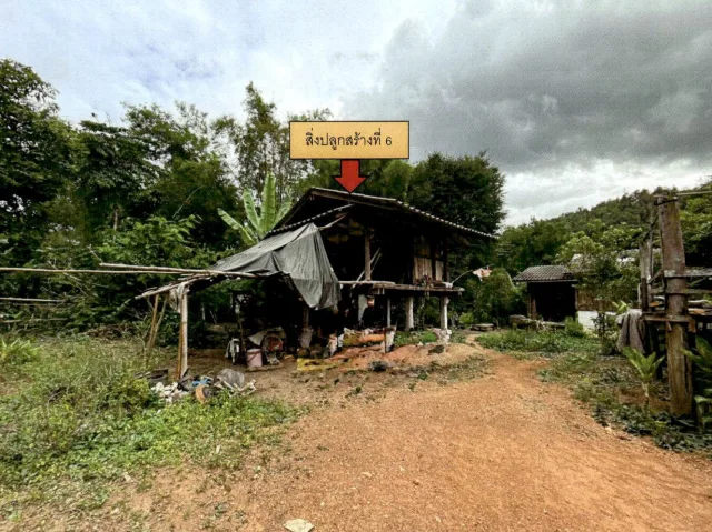 ขายทอดตลาด ที่ดินพร้อมสิ่งปลูกสร้าง ต.บ้านปวง อ.ทุ่งหัวช้าง จ.ลำพูน