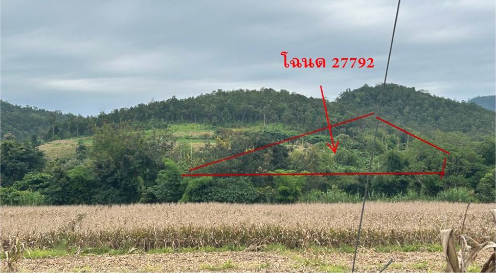 ขายทอดตลาด ที่ดินว่างเปล่า ต.ลี้ อ.ลี้ จ.ลำพูน