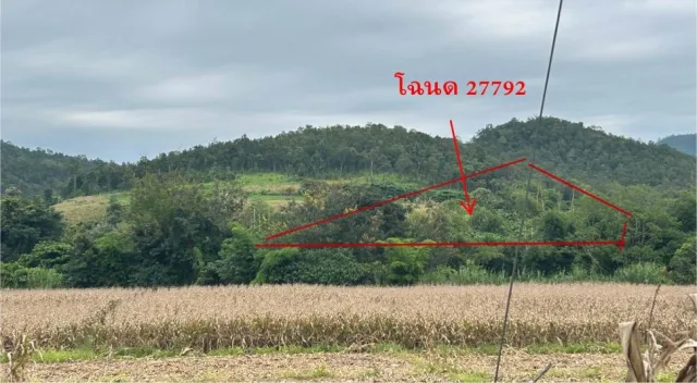 ขายทอดตลาด ที่ดินว่างเปล่า ต.ลี้ อ.ลี้ จ.ลำพูน