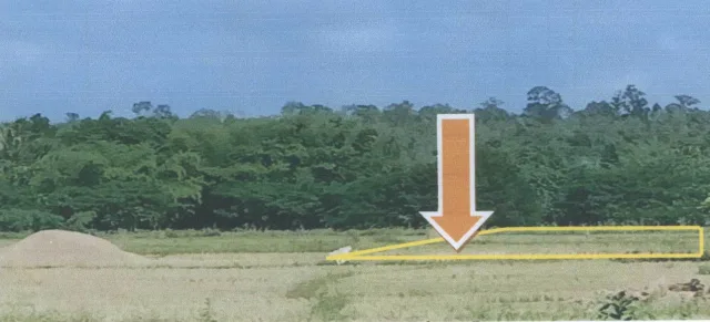 ขายทอดตลาด ที่ดินว่างเปล่า ต.นาทราย อ.ลี้ จ.ลำพูน