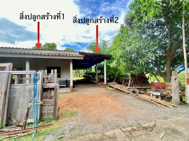 ขายทอดตลาด ที่ดินพร้อมสิ่งปลูกสร้าง ต.เหล่ายาว อ.บ้านโฮ่ง จ.ลำพูน