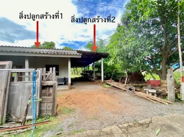 ขายทอดตลาด ที่ดินพร้อมสิ่งปลูกสร้าง ต.เหล่ายาว อ.บ้านโฮ่ง จ.ลำพูน