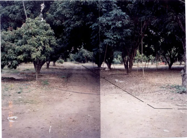 ขายทอดตลาด ที่ดินว่างเปล่า ต.นครเจดีย์ อ.ป่าซาง จ.ลำพูน