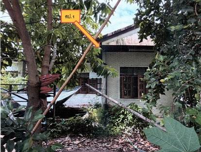 ขายทอดตลาด ที่ดินพร้อมสิ่งปลูกสร้าง ต.ป่าซาง อ.ป่าซาง จ.ลำพูน